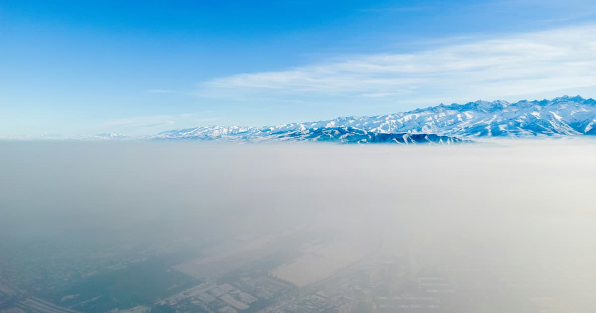 Optimum Pest Control Expands Mosquito Management Services in New York City