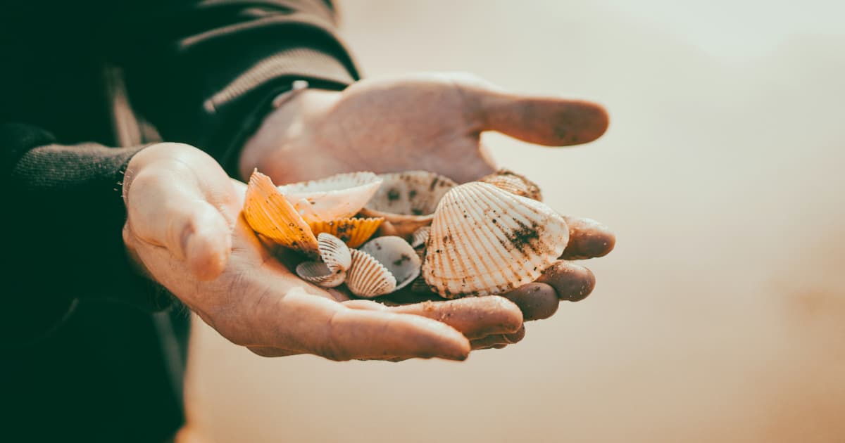 Hospice Care Remains Underutilized Despite Decades of Availability, Organization Seeks to Increase Awareness