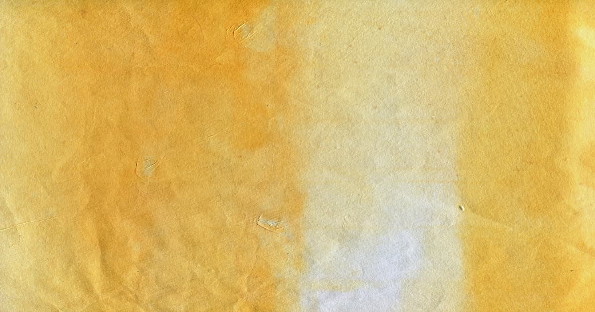 Shincheonji Volunteer Group Conducts Beach Cleanup in New York, Plans Monthly Environmental Initiatives